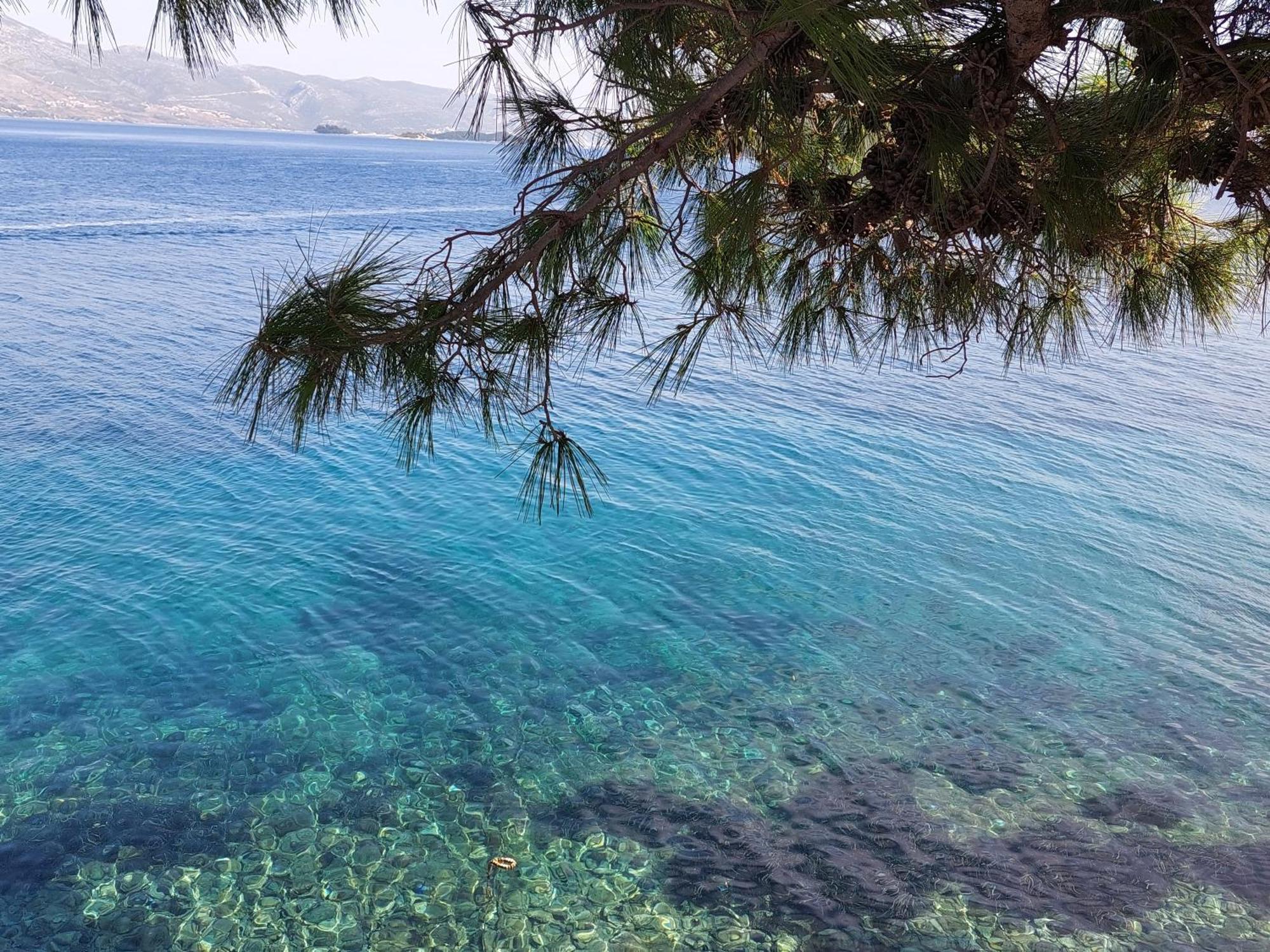 Apartment Pomirenja Korčula Eksteriør billede